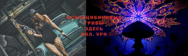 твердый Богородицк